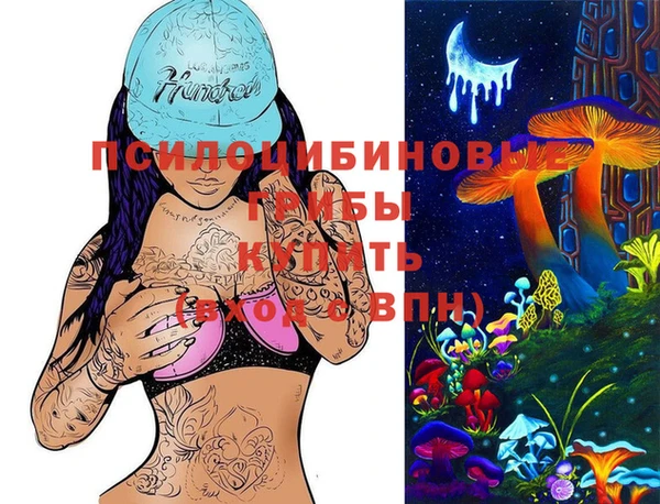 стаф Арсеньев