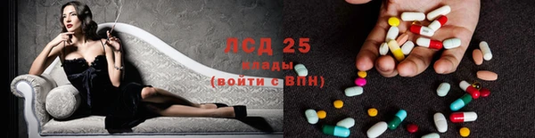 стаф Арсеньев