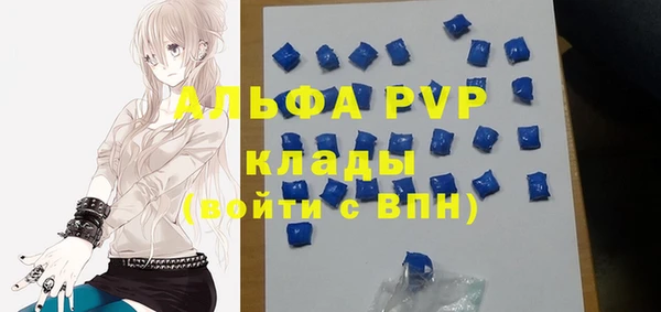 стаф Арсеньев