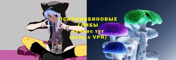 гашик Армянск