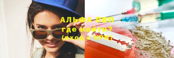 стаф Арсеньев