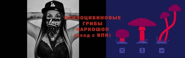 стаф Арсеньев