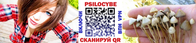 Галлюциногенные грибы Cubensis  Ногинск 